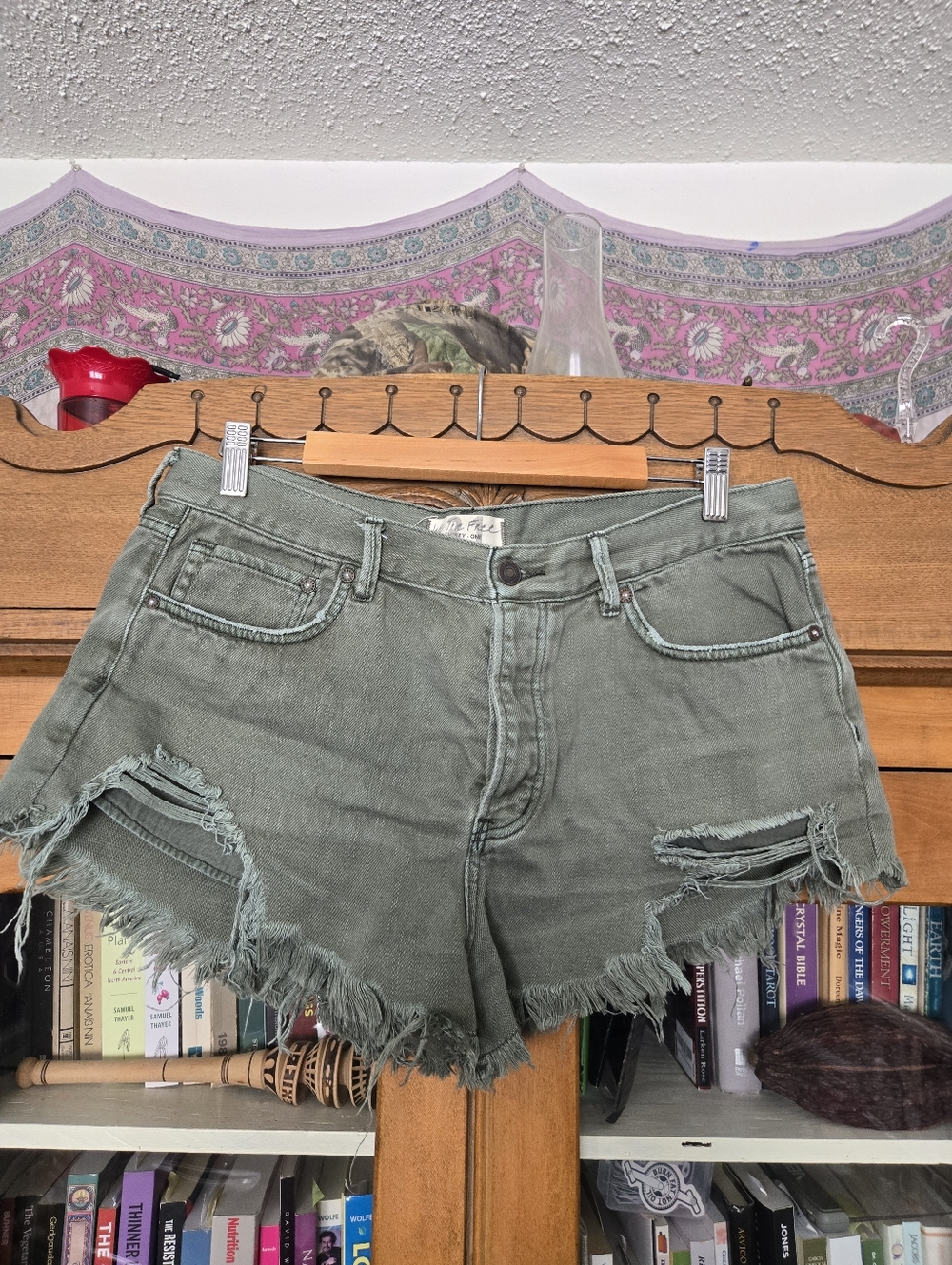 Free People Sz 31- Loving Good Vibrations cutoff shorts